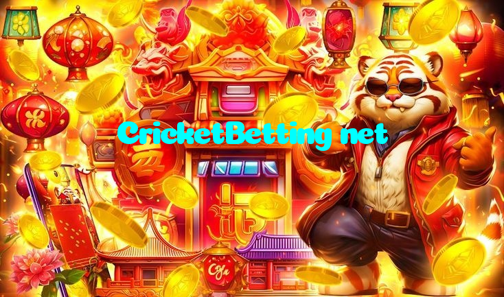 making first deposit on CricketBetting net website using local payment methods in Pakistan